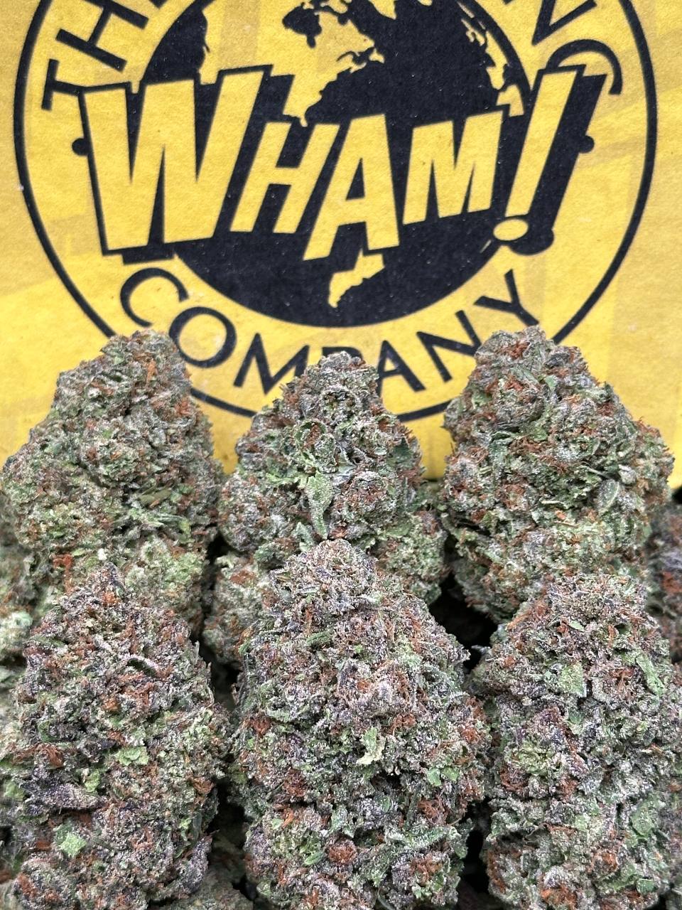 Rainbow Sherbet (Sativa Hybrid)
