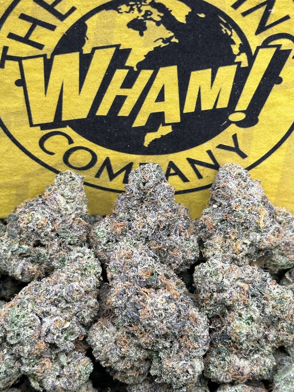 Bacio Gelato (Indica)