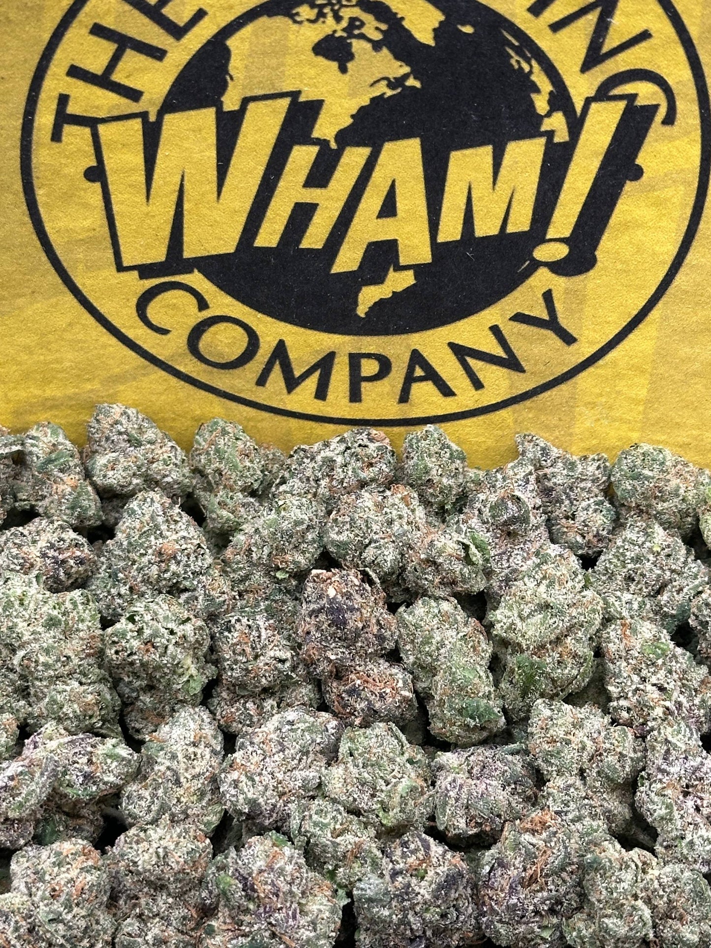 Priority Exotics SM (Indica)