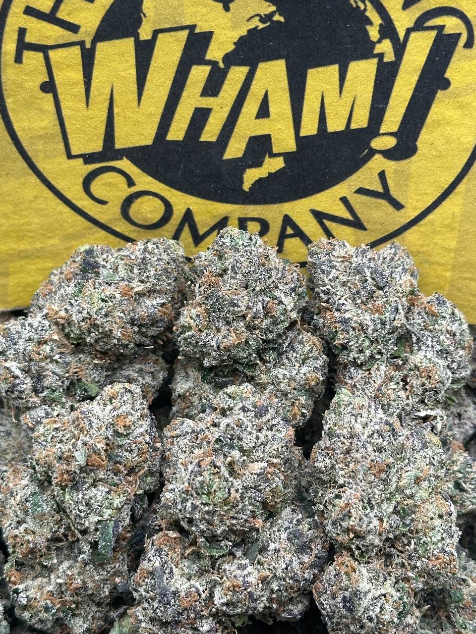 Blue Cherry Gelato (Indica Hybrid)