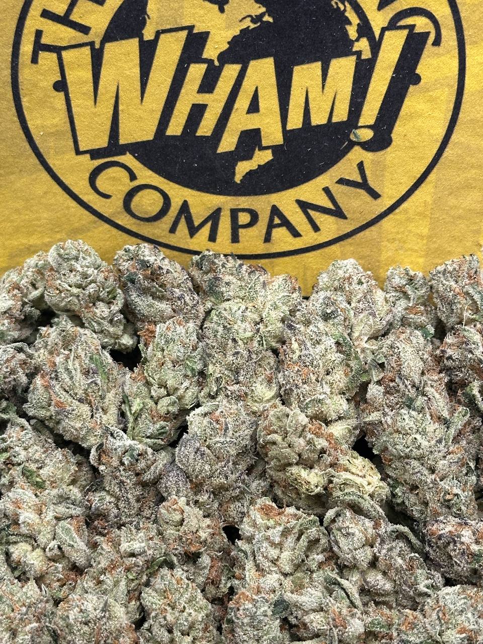 Apple Fritter SM (Hybrid)
