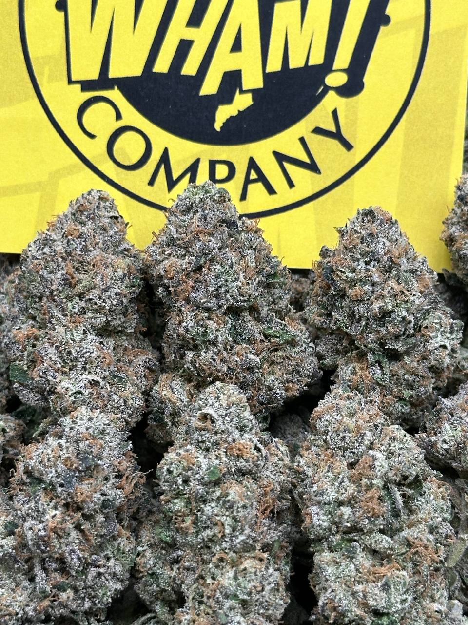 WHAM 2.0 (Indica)