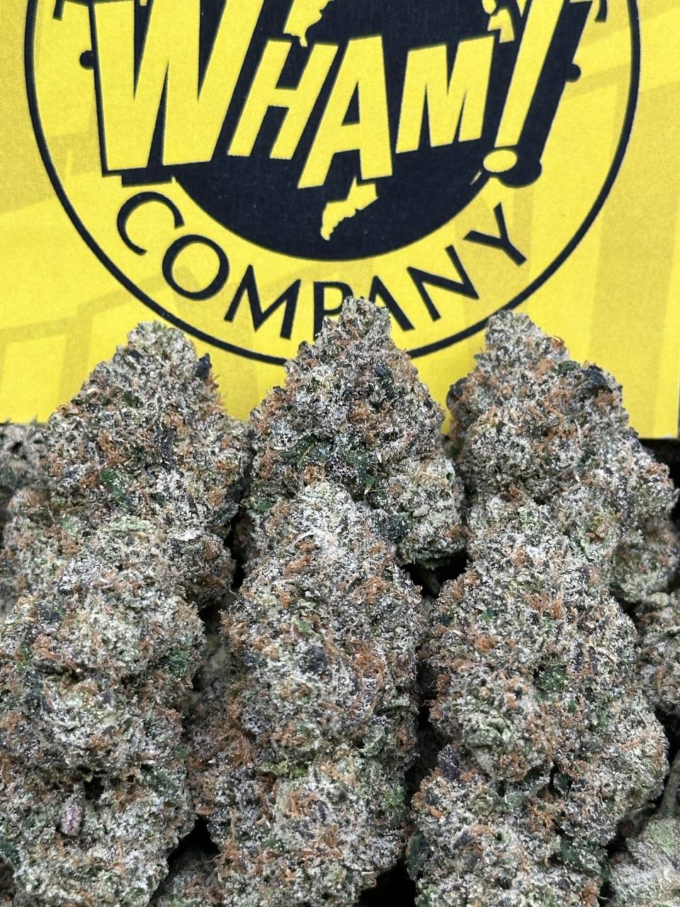 BANG 2.0 (Indica)