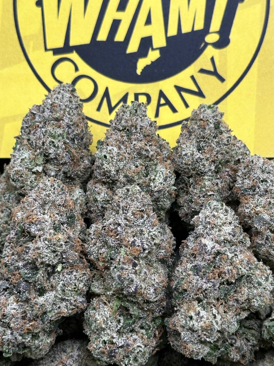 WOW 2.0 (Indica)
