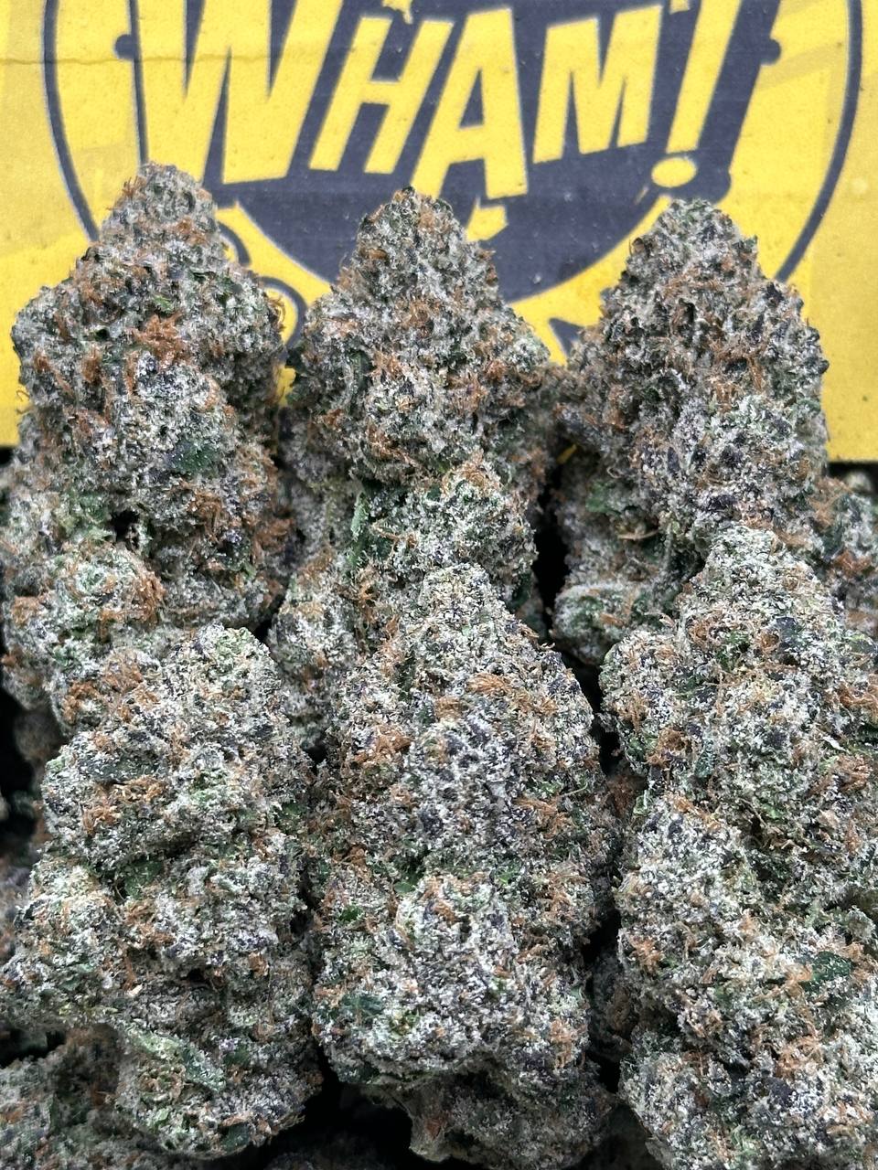 Jelly Zonut (Indica Hybrid)