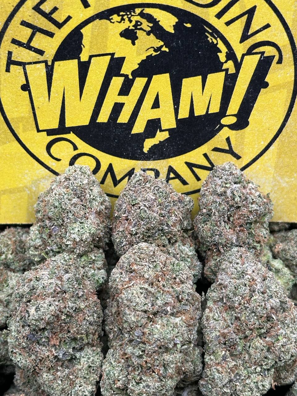 White Cherry Gelato(Indica Hybrid)