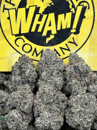 Lemon Cherry Zlushie (Hybrid)