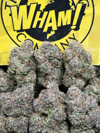 Candy Belts (Indica Hybrid)