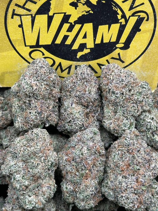 Gelato Paloma (Indica)