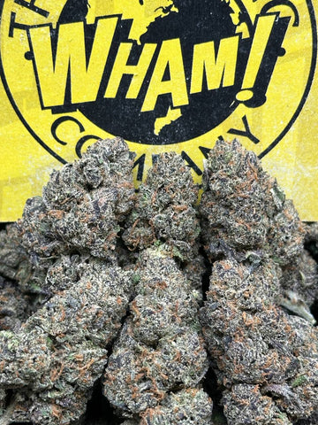 GMO Zkittles (Indica)