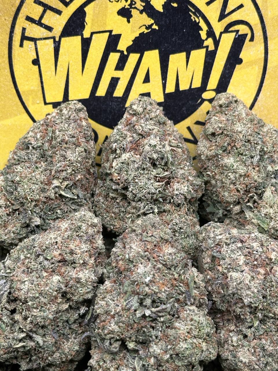 White Truffle (Hybrid) – Bulk WHAM