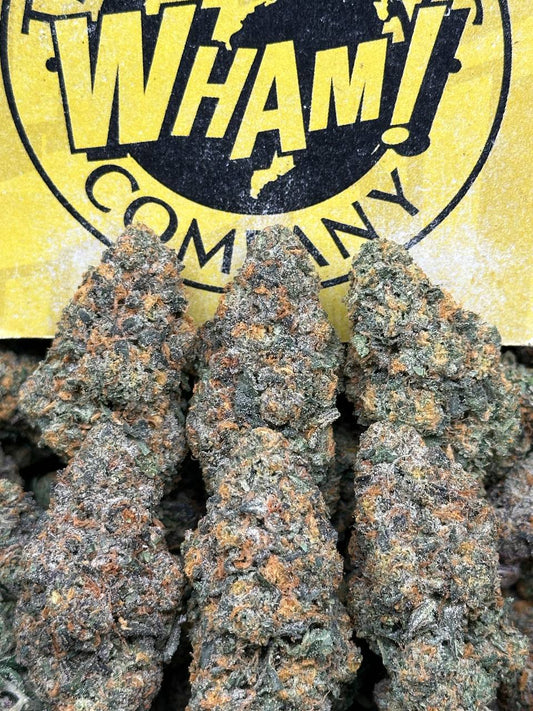 Gelato 41 (Indica Hybrid)