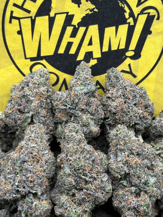 Mint Chocolate Runtz (Hybrid)