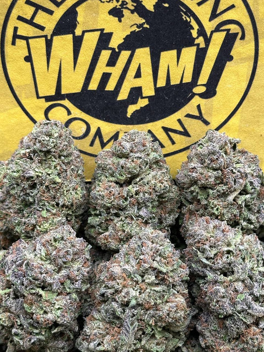 Space Junky (Indica)