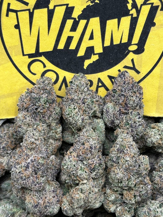 ZAP (Indica)