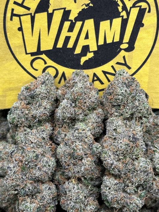 WHAM (Indica Hybrid)