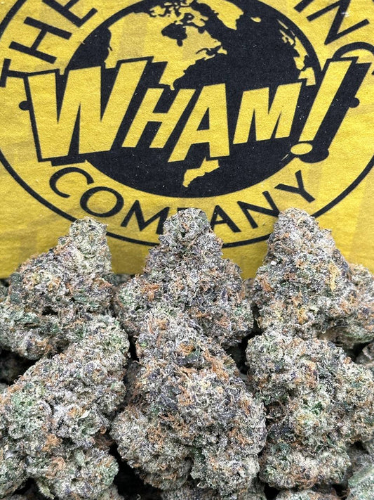 Bacio Gelato (Indica)