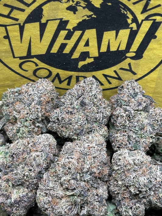 Gelato 33 (Indica)