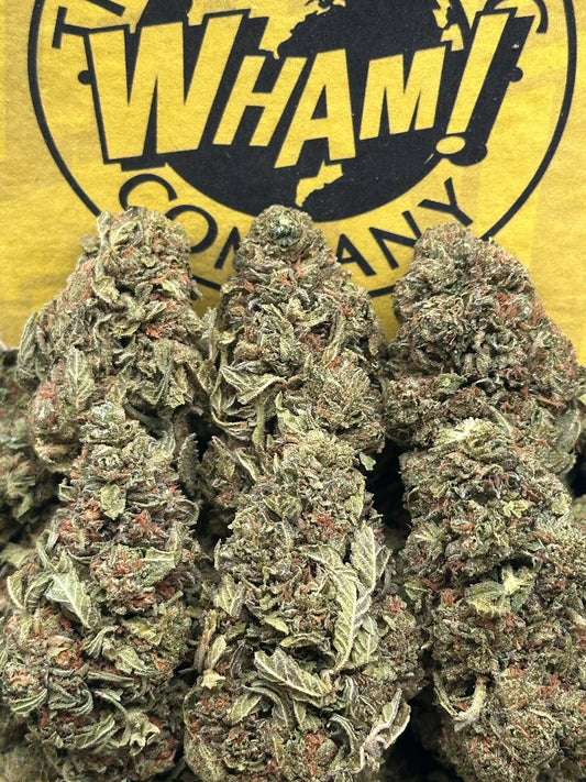 Mr Nasty (Hybrid)