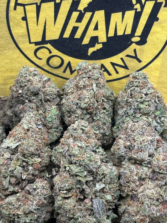 Horchata (Indica)