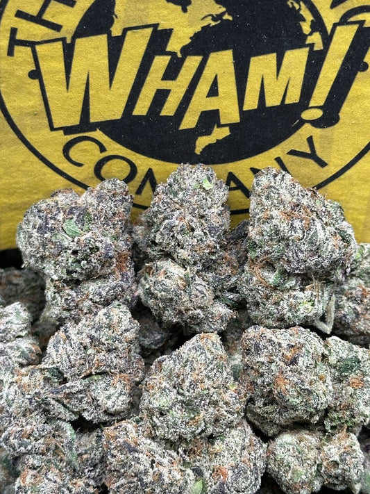 Mango Dream (Hybrid)