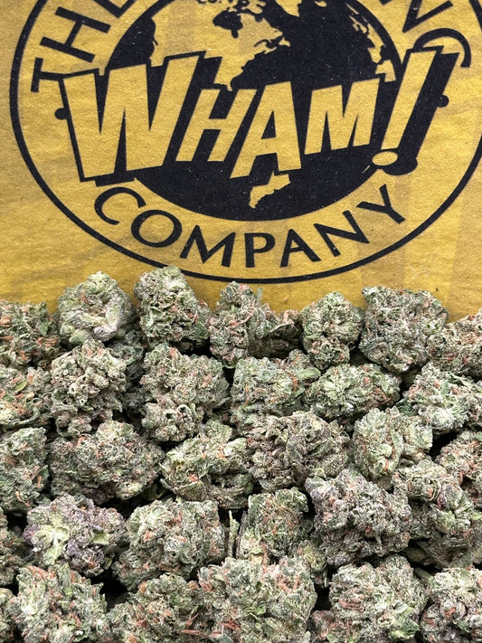 Georgia Pie SM (Hybrid)