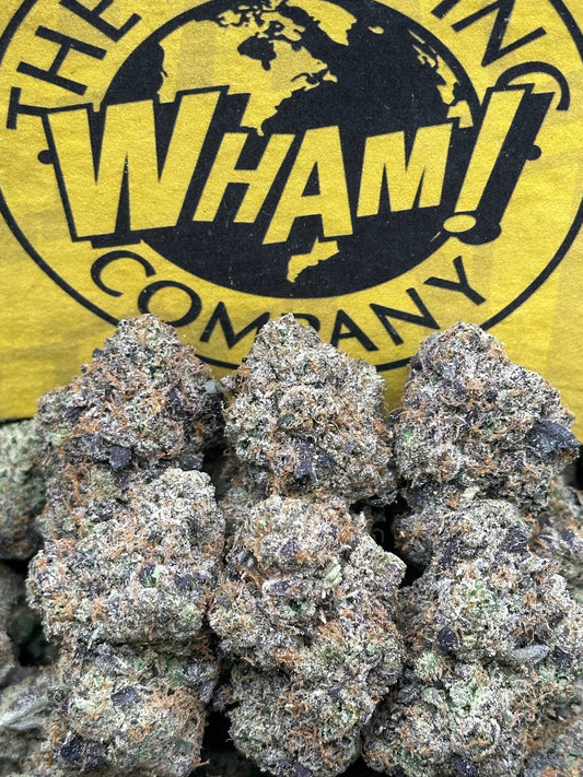 Blue Gummiez (Hybrid)