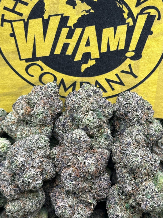Gummy Sorbet (Indica)