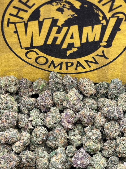 Cherry Hos SM (Hybrid)