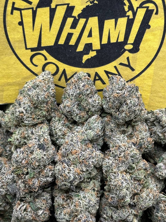 Rainbow Sherbet (Hybrid)