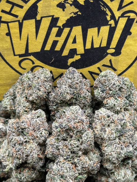 Black Cherry Gelato (Indica)