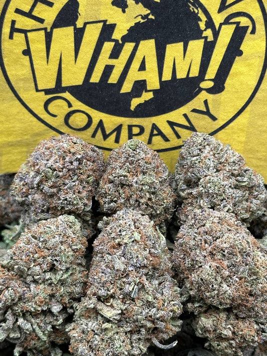 Gelato Paloma (Indica)