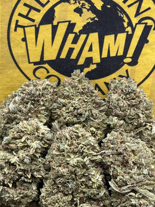 Nimbus Kush (Indica)