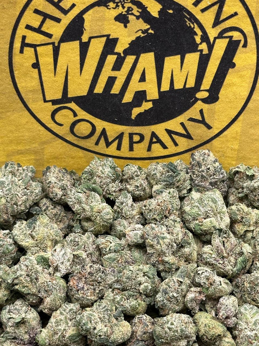 Georgia Pie SM (Hybrid)