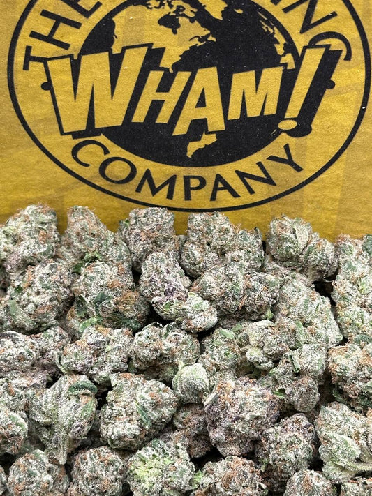 Gumbo Runtz SM (Indica)