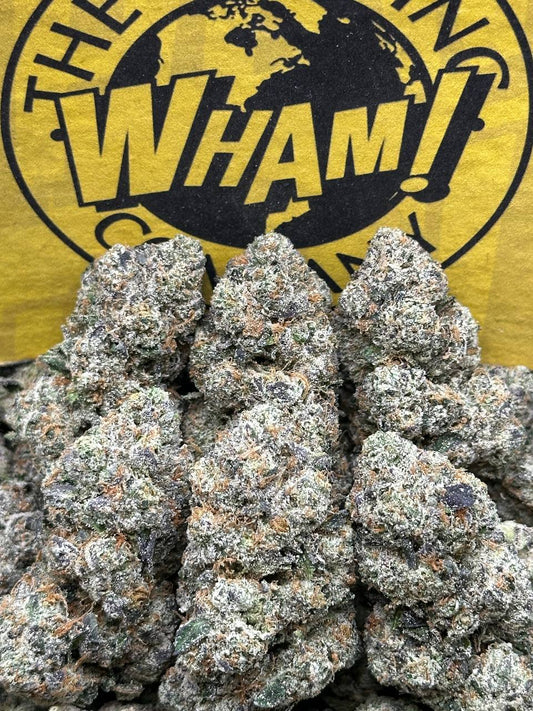 Gelatti(Indica)