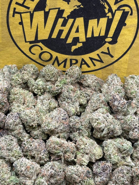 Orange Push Pop SM(Hybrid)