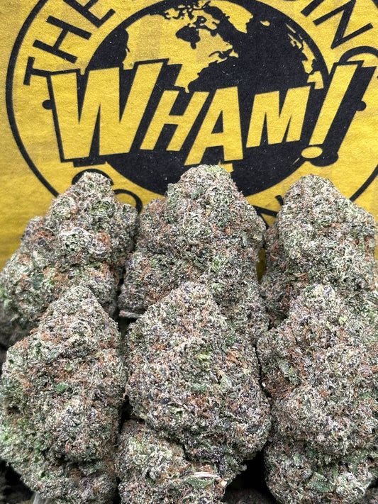 Jet Fuel Gelato(Indica Hybrid)