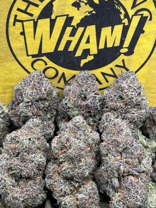 Cherry Zashimi(Hybrid)