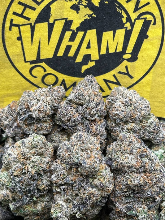 Gelato 33 (Hybrid)