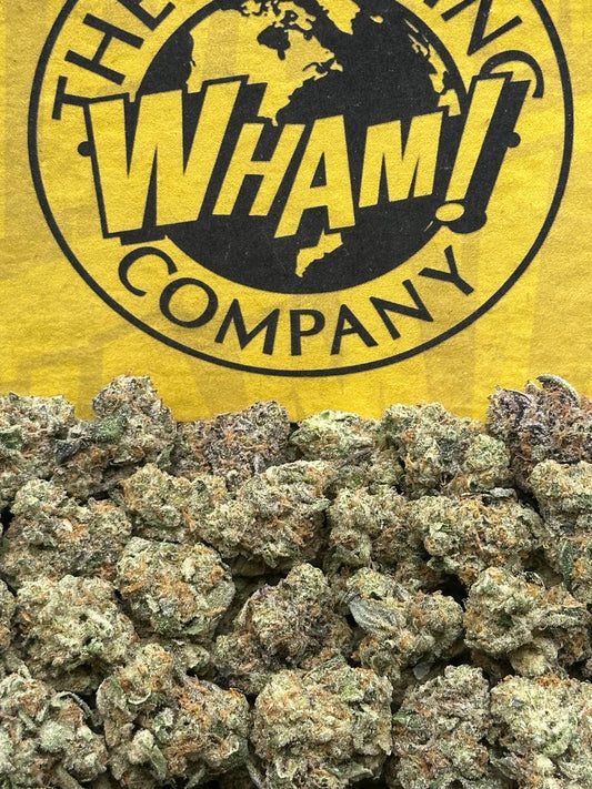 Jet Fuel Gelato SM (Hybrid)