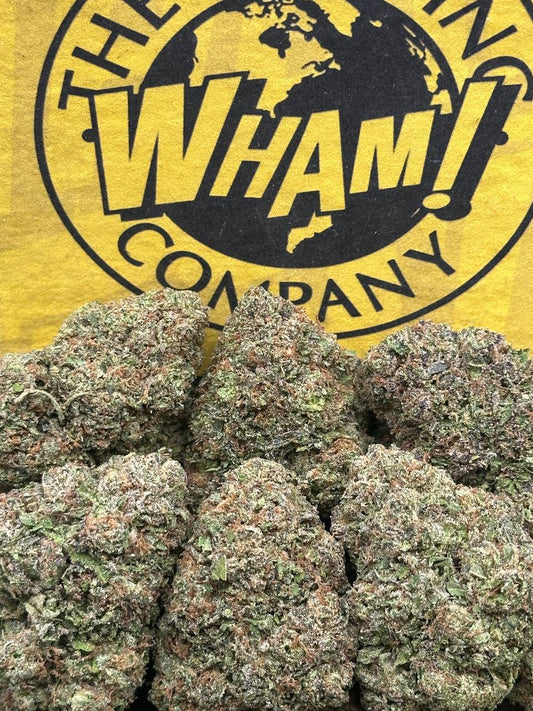 CTESPN Recovery (Indica)