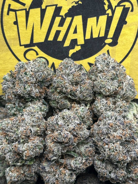 Jealousy X Gelato (Indica)