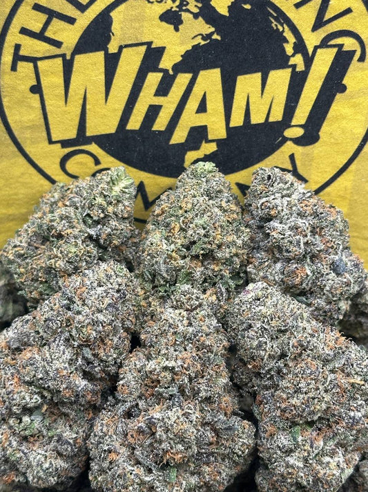 Runtz Zooshi (Hybrid)
