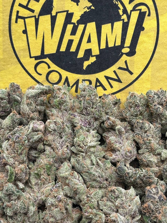 Biscotti SM (Indica)