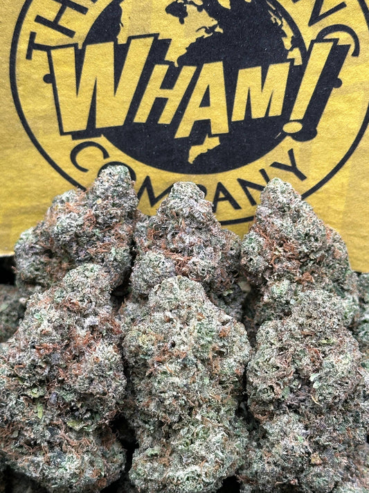 Cracker Pack (Hybrid)