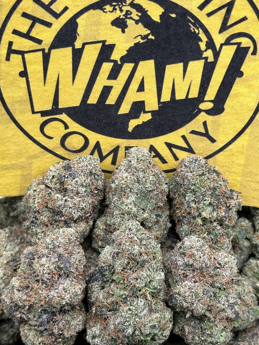 Permanent Marker (Hybrid)