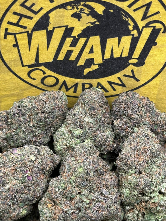 Orange Push Pop (Indica)