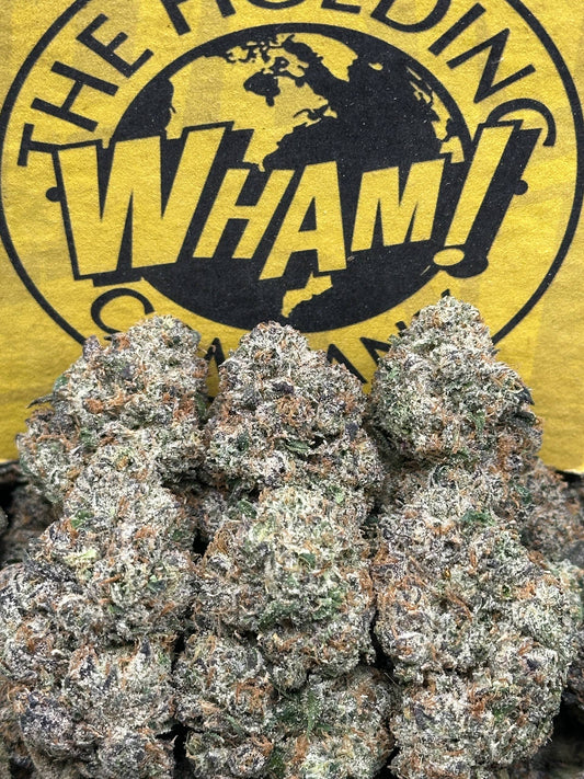 Apple Fritter (Indica)