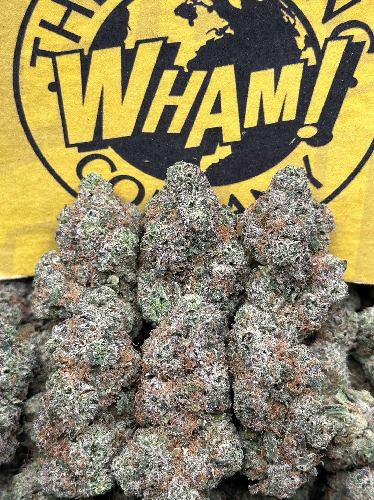 Black Cherry Runtz (Hybrid)